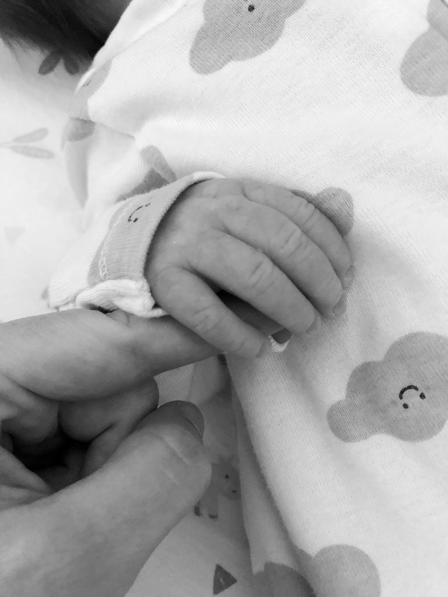 Jennifer Haberkorn tweet media