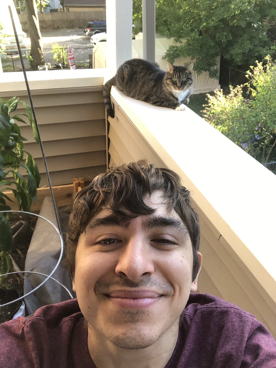 Dan Polyak tweet media