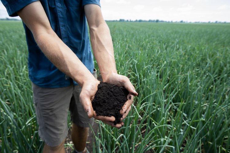 growernews's tweet image. “The success of low-carbon initiatives depends on the adoption of mindsets and practices that reflect a regenerative, not extractive, attitude to resource use: Martin Gooch, @ValuechainsAg  Executive summary of the paper link here  bit.ly/3SaHcg3 
thegrower.org/news/how-farme…