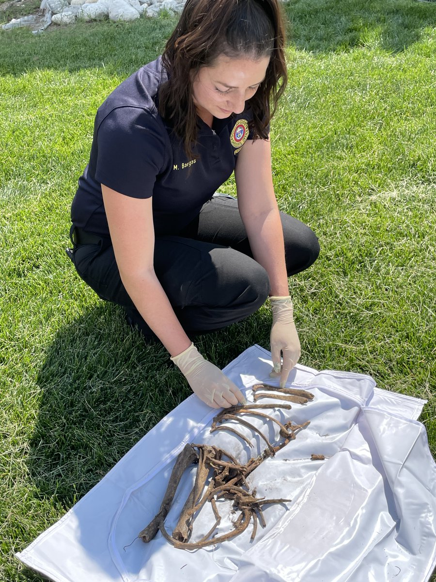dcsheriff's tweet photo. Who knew science could be so cool? We did! Shout out to our awesome forensic team during #NationalForensicScienceWeek. Very dedicated staff that use their special skills to solve cases that may not otherwise be solvable. Go Science!! #ScienceIsCool #CSIs #DSCO #forensics #science https://t.co/pkndMbXYGd
