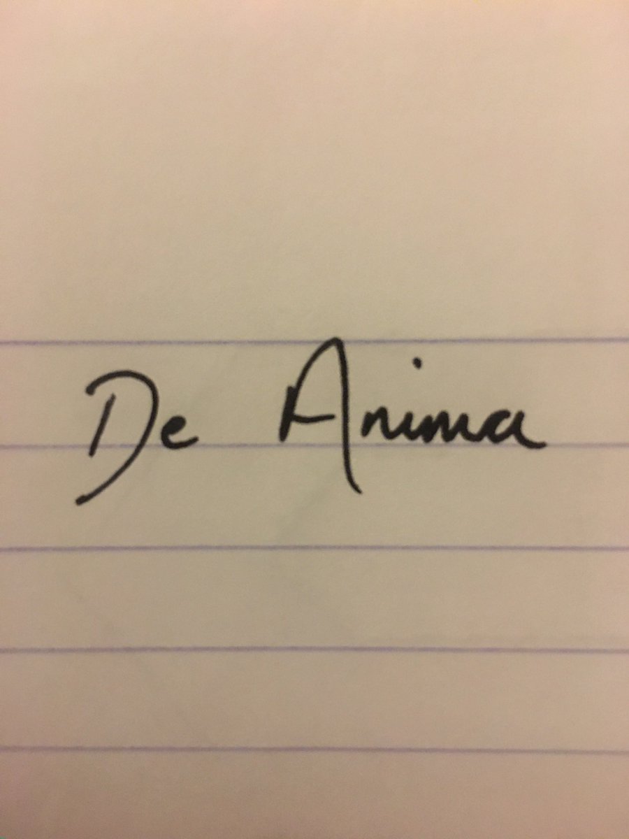 _DeAnima's tweet photo. 1) First time written down - 13/12/20

#logoevolution https://t.co/x13DF4UjZy