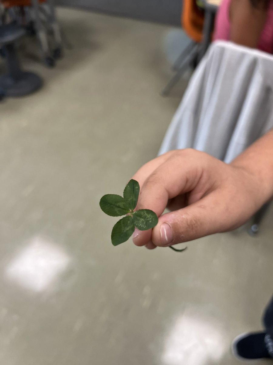 One of our room 30 friends brought in a 4 leaf clover this morning! That’s a sign that this is going to be an awesome week 🍀 ☺️
