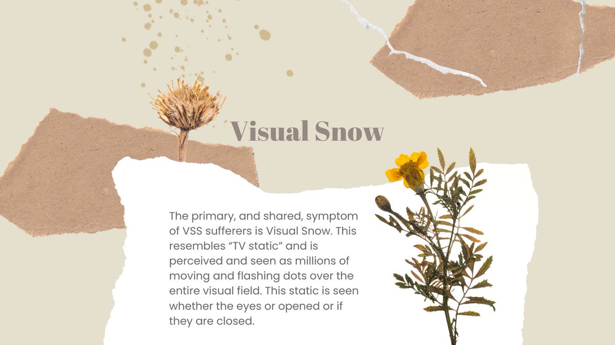 Eye On Vision Foundation tweet media