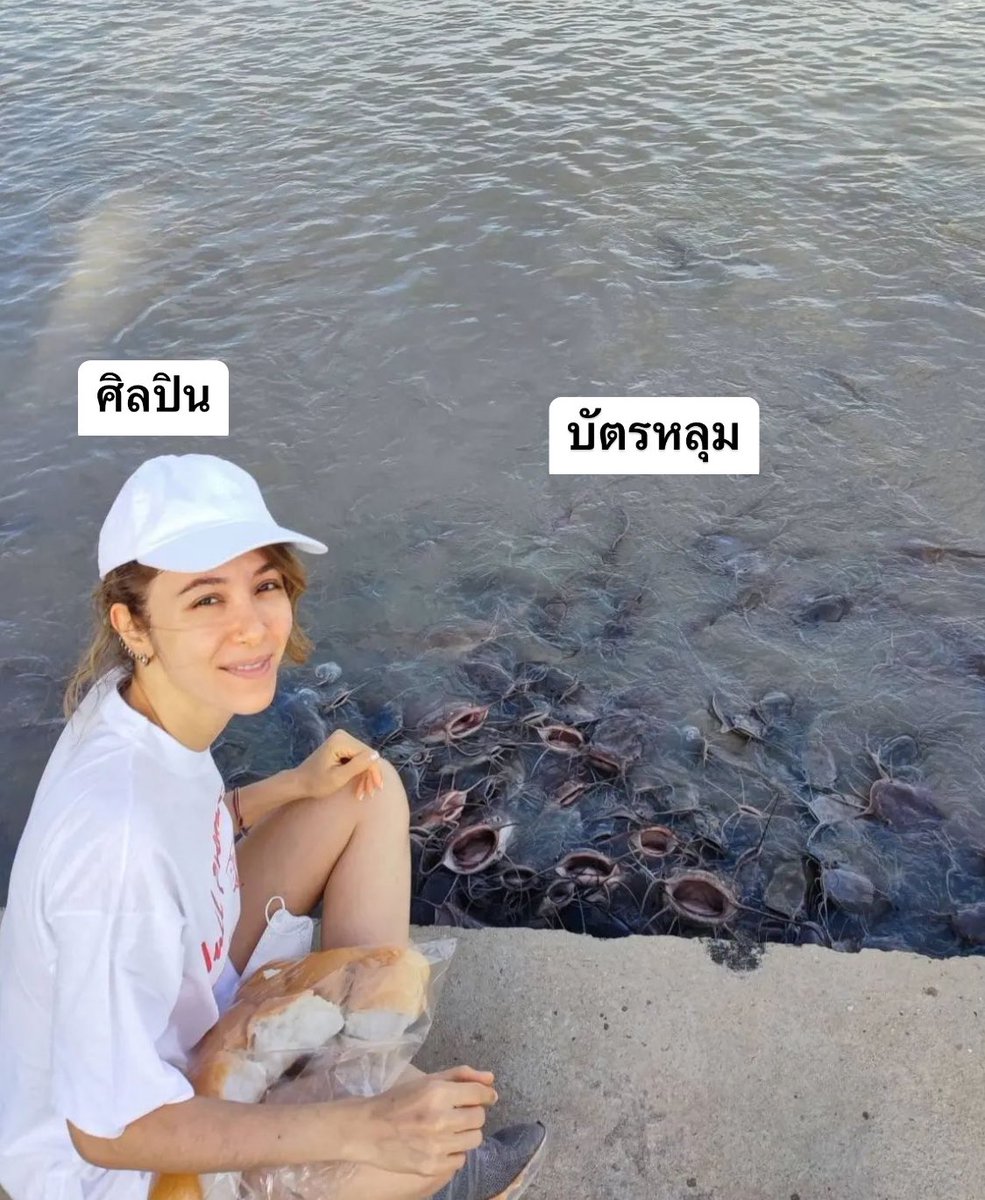 ` 마 크 잭 슨 . (@jsmtjyygyjbbjb) on Twitter photo 