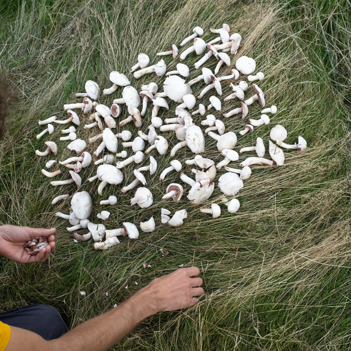 Lewis Bush tweet media