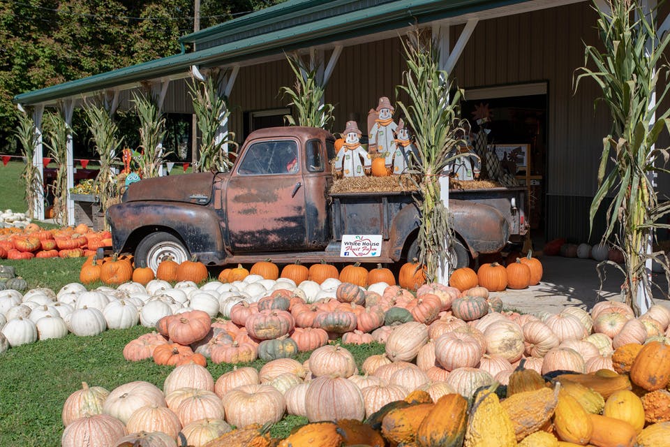 OhioMagazine's tweet photo. Enjoy horse-drawn wagons, a petting zoo, sweet apple cider, delicious doughnuts and more during Fall Harvest Weekends at @WhiteHouseFF in Canfield. π
Check out more events happening this week in Ohio, from festivals to live music: https://t.co/OzGs73XlmK https://t.co/7wbdTjm21k