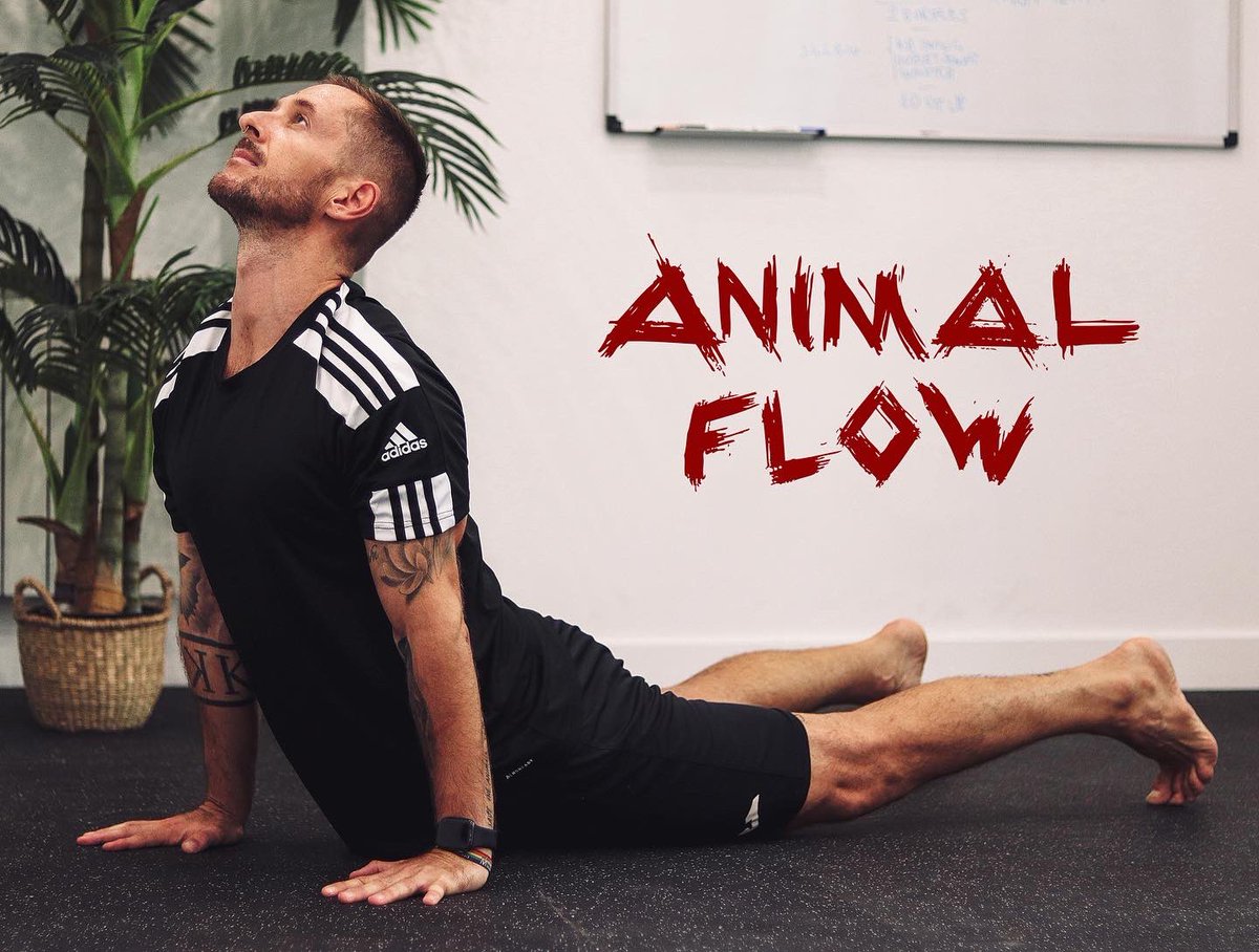 agu_lukke's tweet photo. #waveunload #animalflow
๐ธ @ikerlodigas https://t.co/xBdWtgkbr0