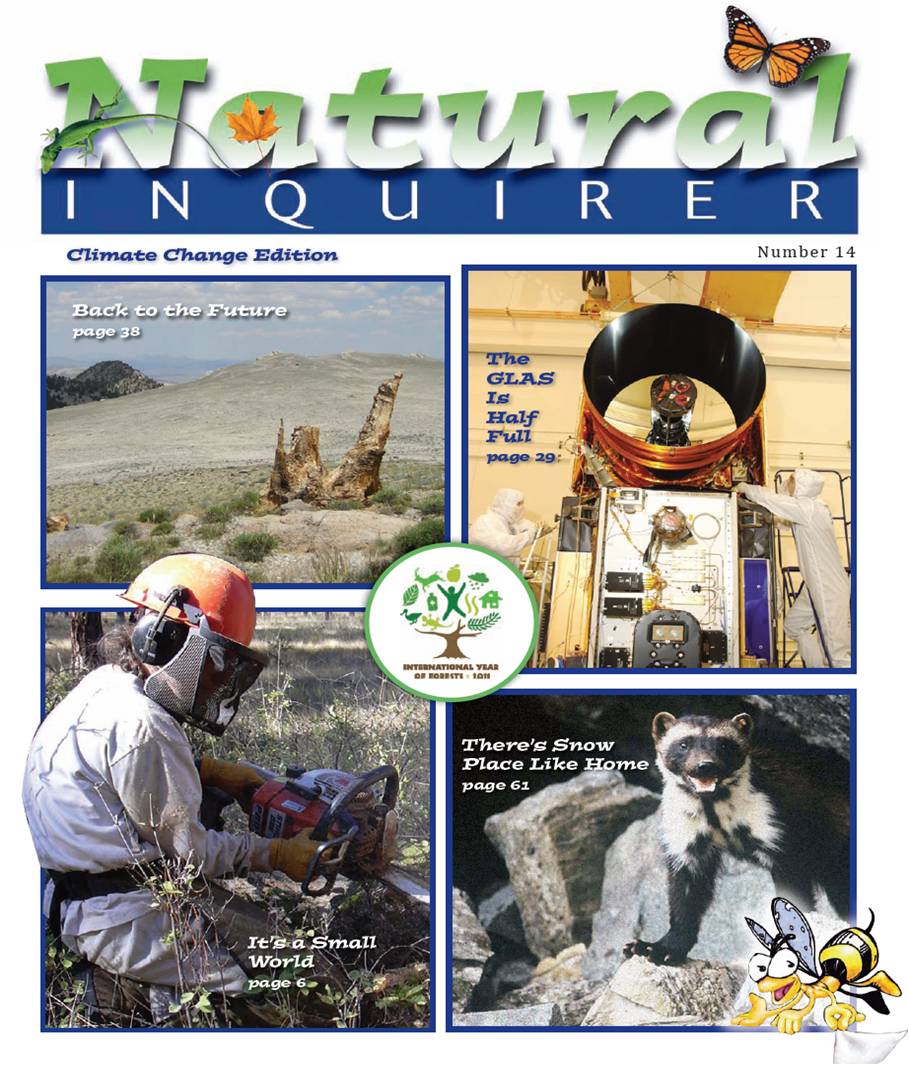treesearch's tweet photo. To kick of #NationalClimateWeek, we're providing you a wealth of climate change resources from the our K-12 education arm the @naturalinquirer.
Check them out here: https://t.co/FTwj6qto2d https://t.co/ED0oWgm4VF