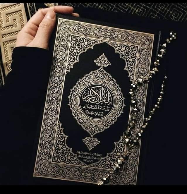 Sana Ulla (@sanaull65632167) on Twitter photo 