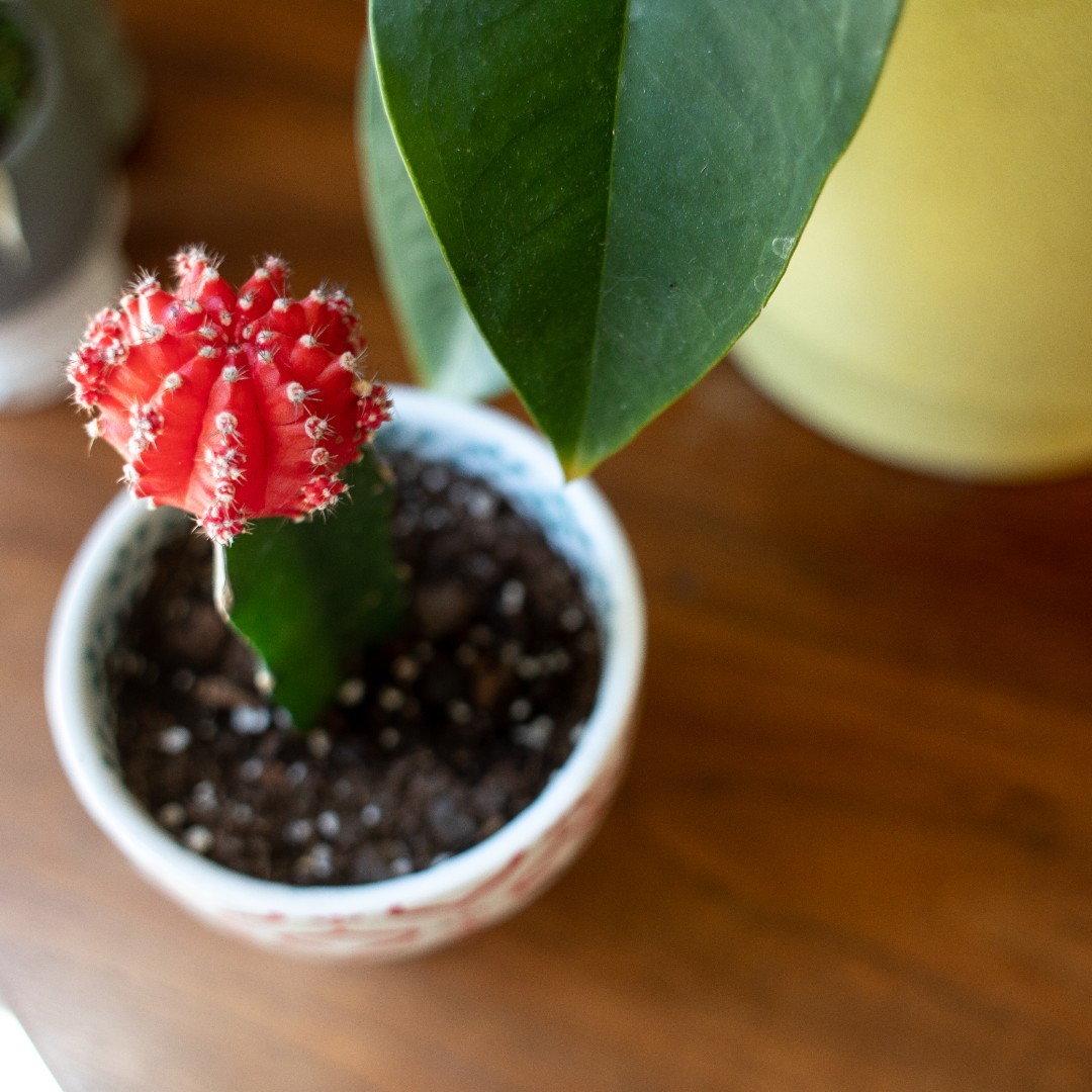 TheMillDE's tweet photo. Bloom your business every day at @TheMillDE. #changethewayyouwork #themillde #themilldeconcord #coworking #officespace #conferencerooms #eventvenue #wilmingtonde #inwilm #mondaymotivation https://t.co/02PkgteLNa