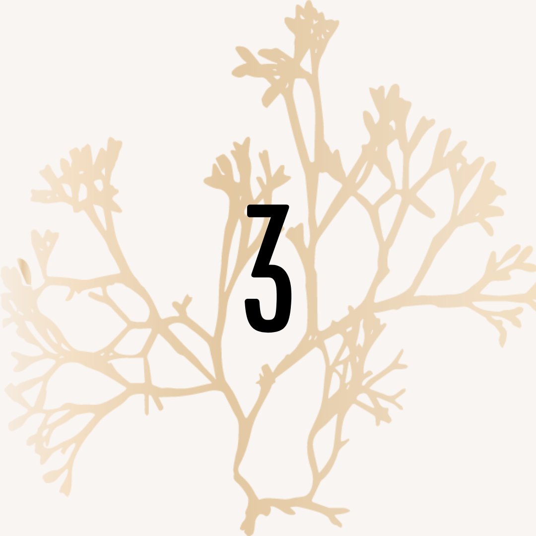 GenerateHope's tweet image. 3 days until A Story of Freedom!⁠
generatehope.givesmart.com
-⁠
-⁠
- ⁠
#humantrafficking #antitrafficking #endhumantrafficking #enditmovement #humantraffickingawareness #nonprofit #annualfundraiser #gala #endsextrafficking