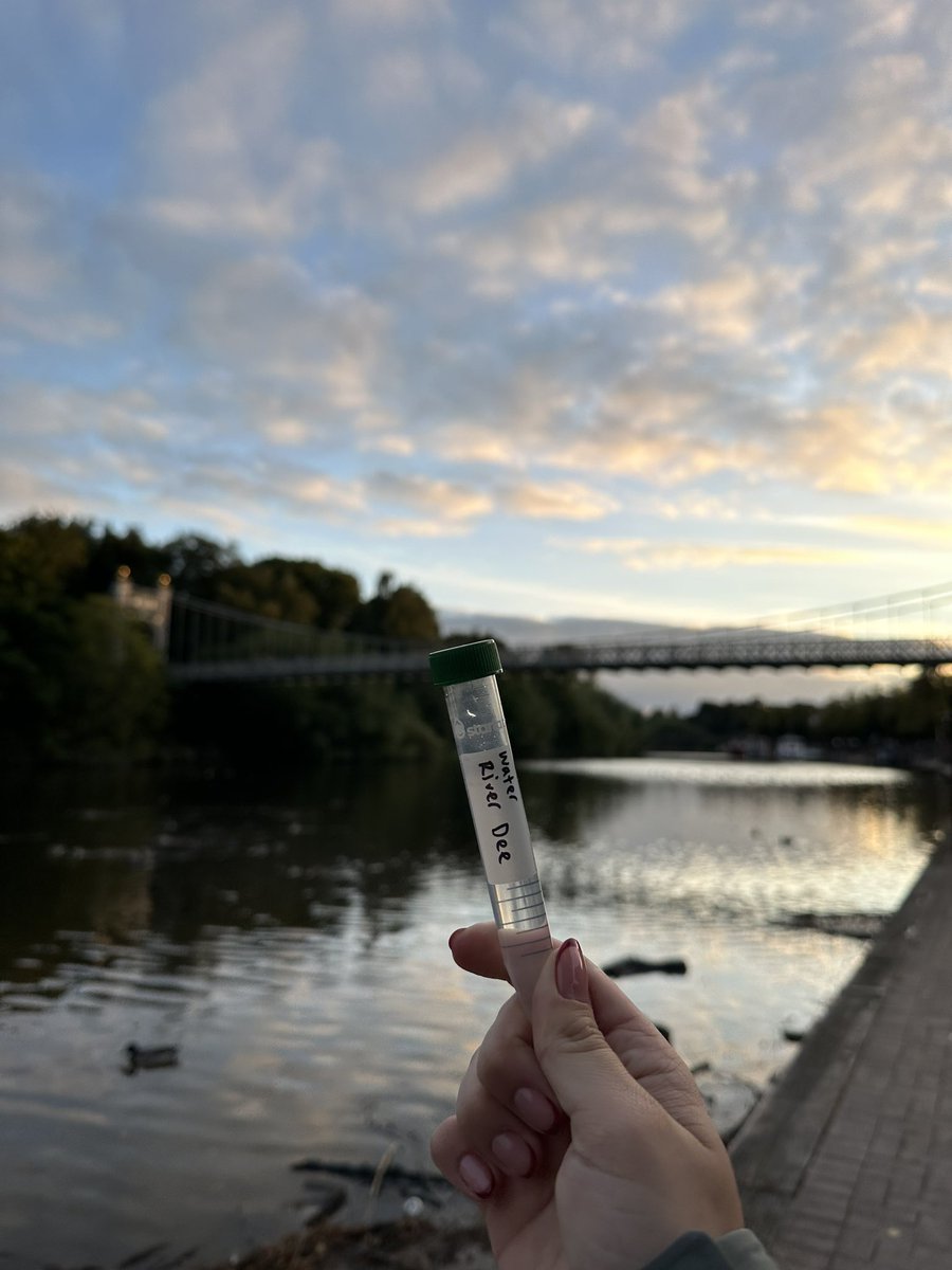 Sciobhannr's tweet photo. Phage hunting https://t.co/IWMMhBBA3I