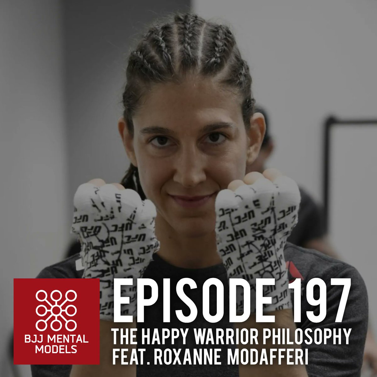 BJJ Mental Models tweet media