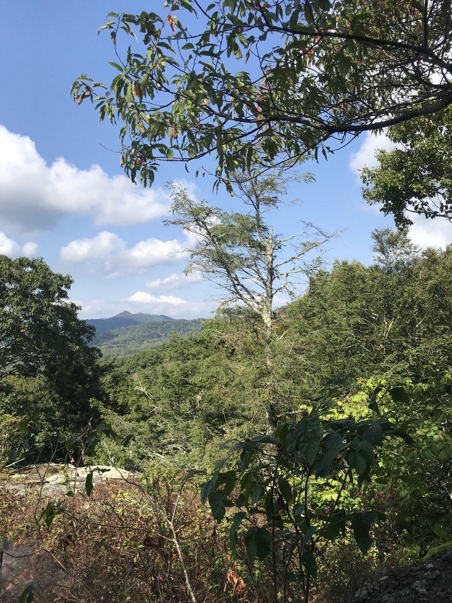 hiker_mary's tweet photo. An absolutely beautiful weekend to be on Grandfather Mountain. Hiked the Woods Walk, some of Black Rock, and the perimeter woods of McRae Meadows. โฆ@GrandfatherMtnโฉ #gloriousviews #sunset #blueridgemountains #mountains #hike https://t.co/IpnNt4oJzv
