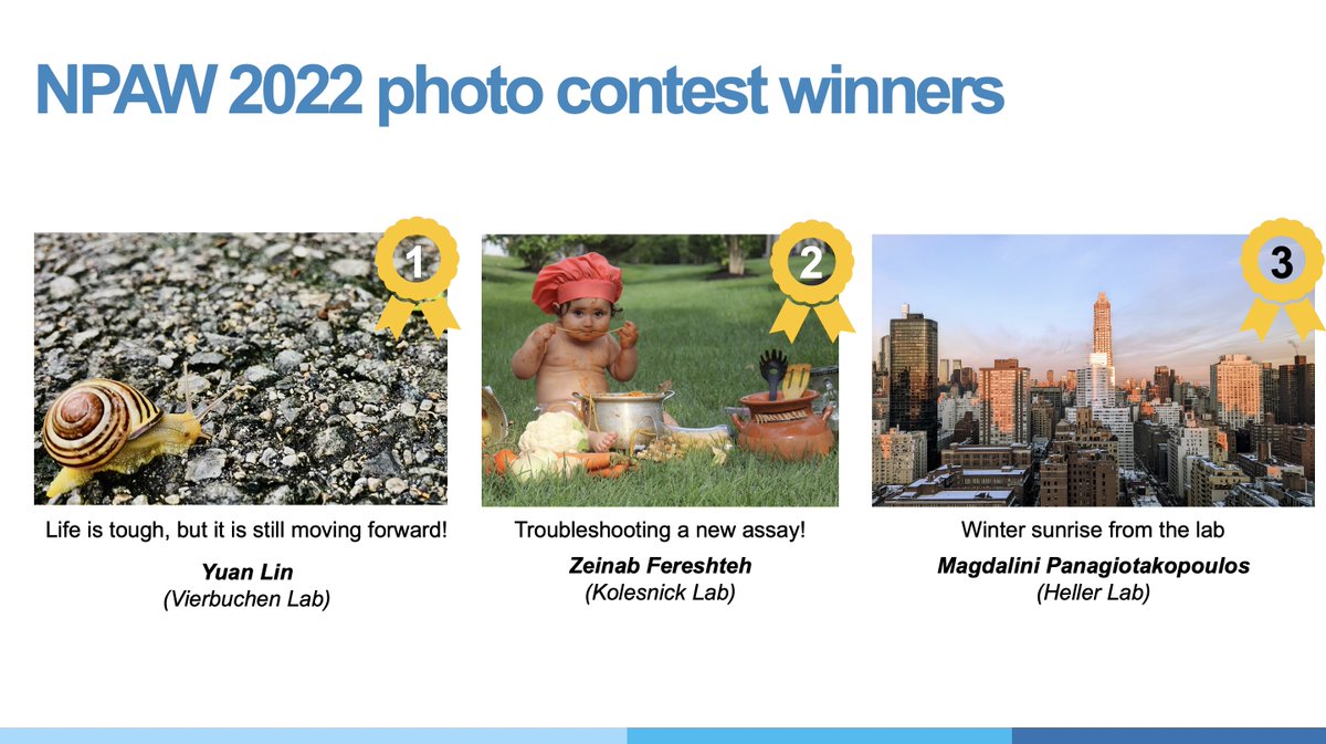 MSKEducation's tweet photo. Congrats to our #NPAW2022 @MSKPDA📸 contest winners! 
🥇 Yuan Lin from the @TommyVierbuchen lab
🥈 Zeinab Fereshteh from the Kolesnick lab
🥉 @magdalinipan from the @HellerLab

 #MSKPostdocs https://t.co/HHidWJaodX