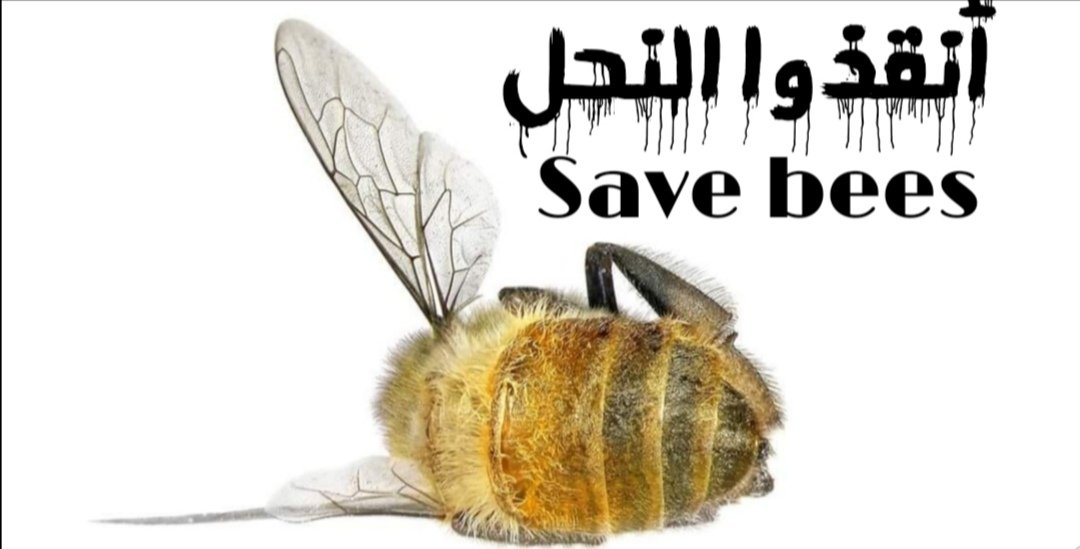 b14c88a35f52489's tweet photo. لا يسمح بتصدر النحل أو طرود والملكات، وفي المقابل يسمح بدخول أطنان الاعسال المستورده إلى السوق المحلي 🤔

#النحل_العماني_يستغيث
#السلطان_هيثم_بن_طارق

@MAFWR_OM https://t.co/elRfXrMN1D