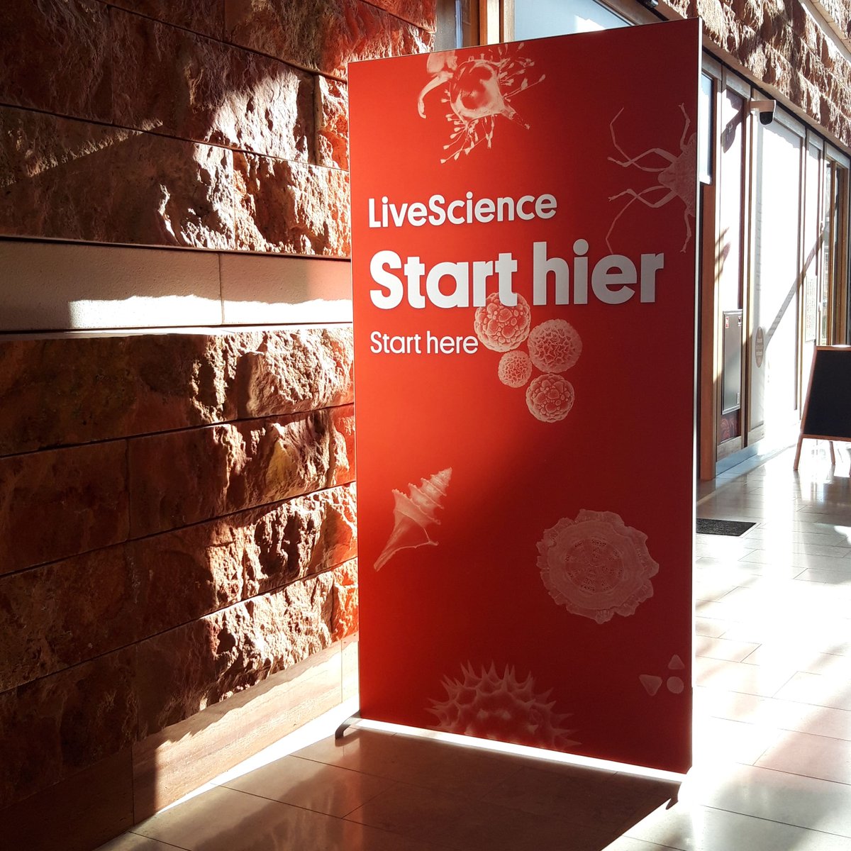 Weekendtip: kom zondag 25 september naar de #meteorietendag bij Naturalis en  luister naar de Spotlights van Rob van den Berg (@Naturalismuseum), Felix Bettonvil (@astronomienl) en Sebastiaan de Vet (<a href="/AETUDelft/">TU Delft | Aerospace Engineering</a> én @Naturalis_Sci) naturalis.nl/meteorietendag…