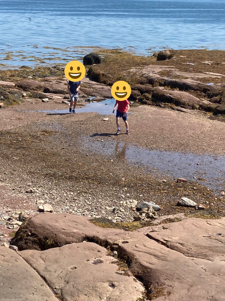 shibby3235's tweet photo. @byebyeopressors @itsTim_eh @JustinTrudeau Have a 14 & 17 yo that were banned from their beloved hockey along with ALL other sports & activities for 6 months. I dutifully took 2 💉 & haven’t felt the same since. #AccordingToTrudeau My sons and I take up space and need to be dealt with. I will not forget. #TrudeauMustGo https://t.co/62Ks69VqaA
