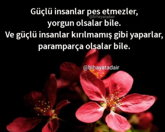 Gùzel  ve mutlu bir gece olsun,
Güzel ve özgür bir  gelecek için  güçlü olmak şartır  ne  kadar  zorda olsa, Zor  zamanlarda  Refine  olmuş güç  ve  birikim  ortaya çıkar,
Şevbaş,  Herkese,,,,
💙💙💙💙💙💙💚💥🎋♥️🌼🌿🌿