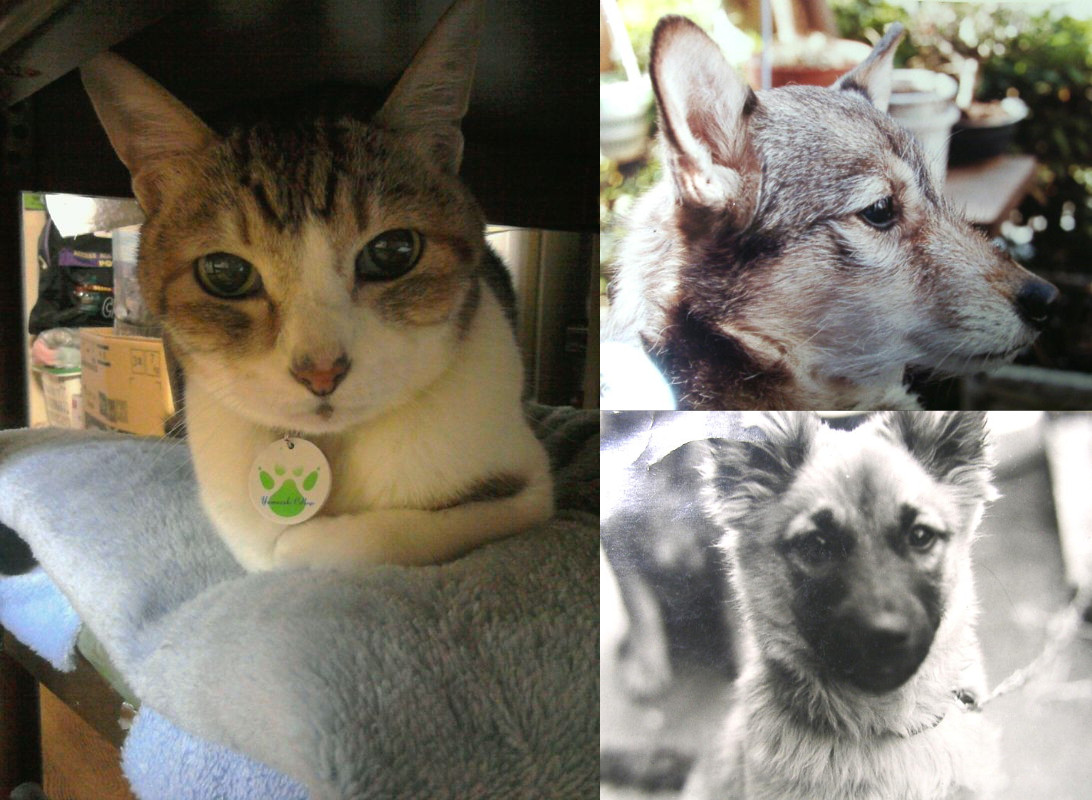 Hyper-Naturalist KK tweet media