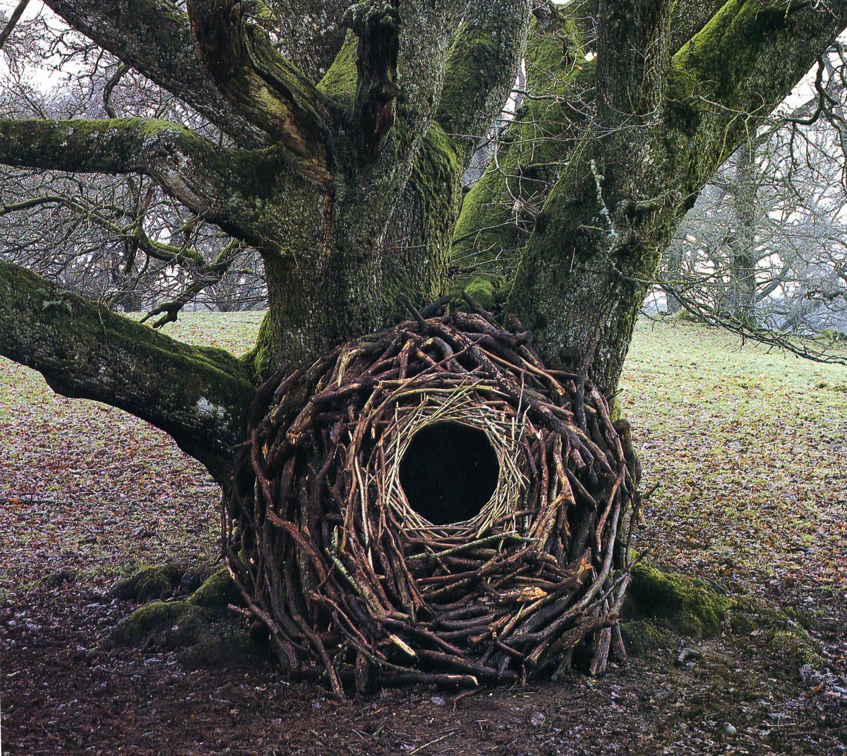 FedeItaliano76's tweet photo. Circles by British Land artist Andy Goldsworthy (born 1956 in Cheshire, England). A few more here
https://t.co/MebuNnq0BX https://t.co/3Fo1i7jBIp