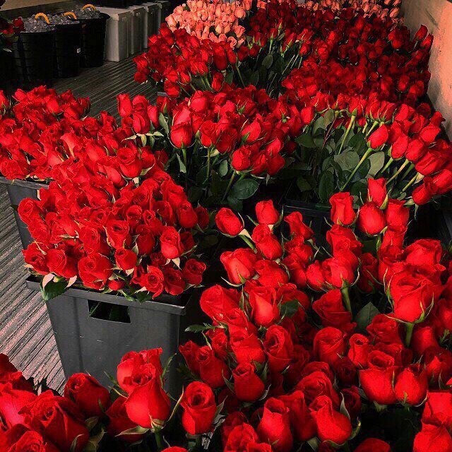 Çiçeklendiniz (@ciceklendirdik) on Twitter photo 