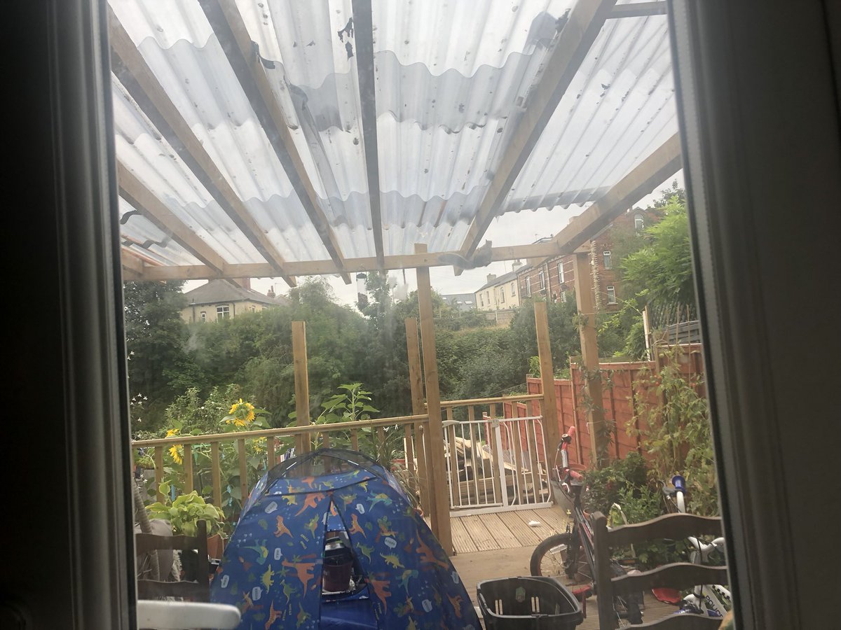 AndyAtkinsonorg's tweet photo. @bbcwildlifemag  Today we had a a visiter as breakfast and tea time. https://t.co/BF6KcXbNii
