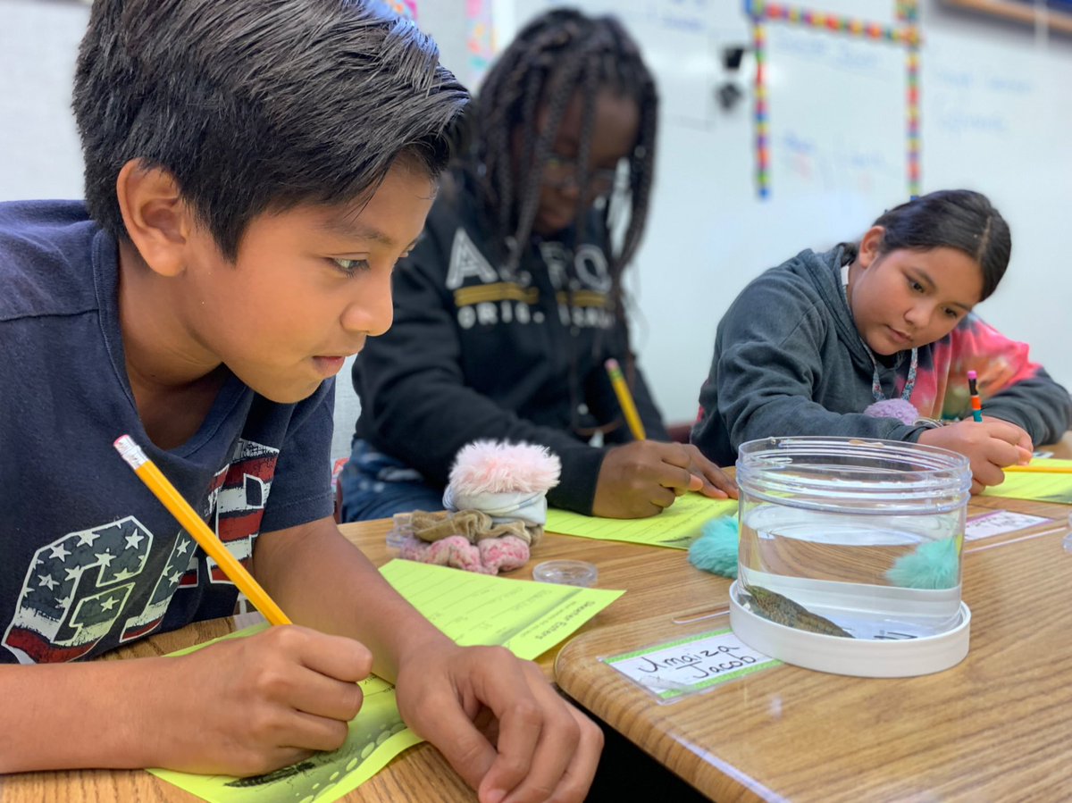 Lee County Mosquito Education tweet media