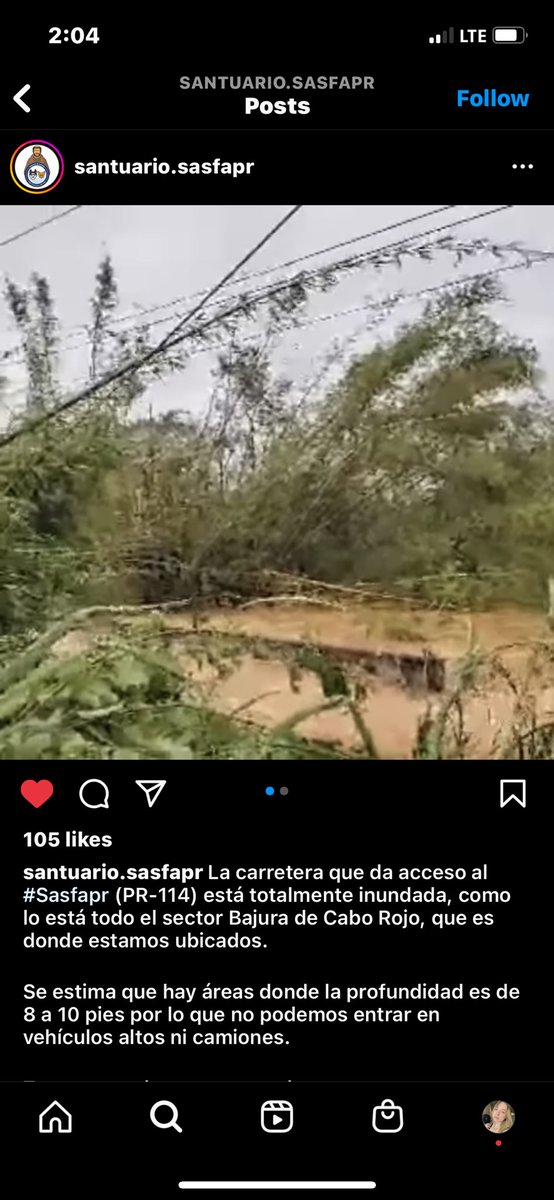 alepao1031's tweet photo. Santuario de perros y gatos San Francisco de Asis en Cabo Rojo busca fosters urgente para sus animalitos!!!🚨🚨🚨los daños que sufrieron por el huracán son demasiados! Aun siguen bajo inundación severa. https://t.co/pMOGY9sBF3