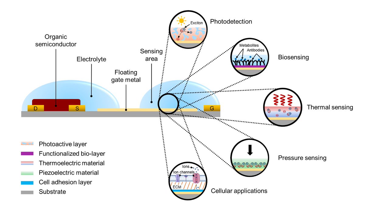 Aristide Gumyusenge (@agumyusenge) on Twitter photo My lab is featured in this year's Early Career Materials Researcher Issue by MRS Communications! Congrats to Heejung, <a href="/cunin_camille/">Camille Cunin</a>, and <a href="/SanketSamal7/">Sanket Samal</a> for getting the first lab's prospective published! tinyurl.com/3rvma37n My lab is featured in this year's Early Career Materials Researcher Issue by MRS Communications! Congrats to Heejung, <a href="/cunin_camille/">Camille Cunin</a>, and <a href="/SanketSamal7/">Sanket Samal</a> for getting the first lab's prospective published! tinyurl.com/3rvma37n