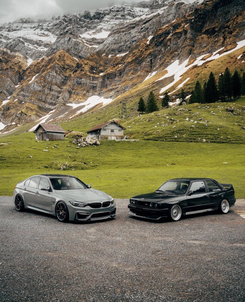 MPower_Daily tweet picture