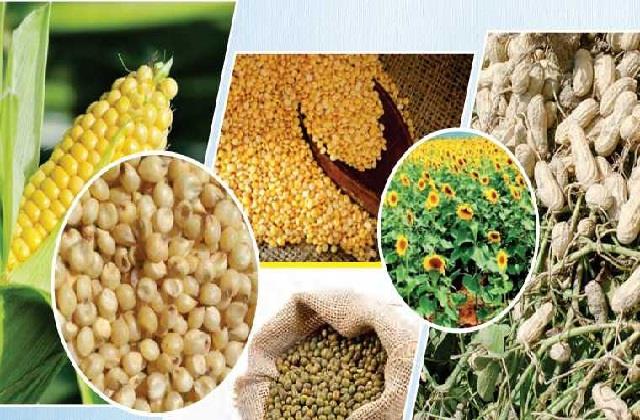 HaryanaKesari's tweet photo. हरियाणा की मंडियों में 1 अक्टूबर से शुरू होगी खरीफ फसलों की खरीद
https://t.co/sksotnhVf5

#haryanahindinews #kharifcropspurchase #mandi #croppurchase https://t.co/qdfmyb68P7