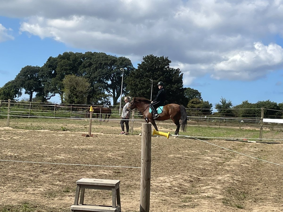 Angemundo's tweet photo. Another equine therapy session for Keir…and the riding school have said that Mara can join in too…lovely for him to have the company of his sister and best friend and great for his anxiety…xoxo #EquineTherapy #Autism #AutismMum #AutismSiblings #AutismAwareness https://t.co/9psn5rgSzs
