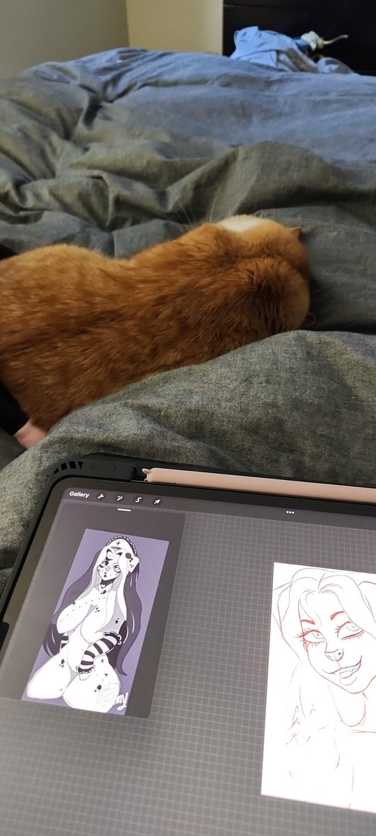 MightyMarysArt's tweet photo. I have a baby @JynxCat https://t.co/8u0spn1SIs