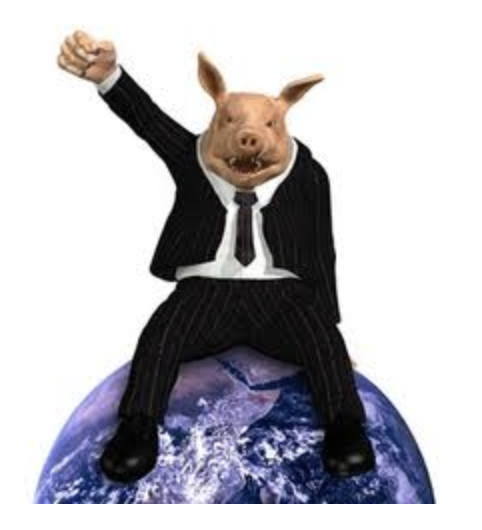 Martin Lewis tweet media