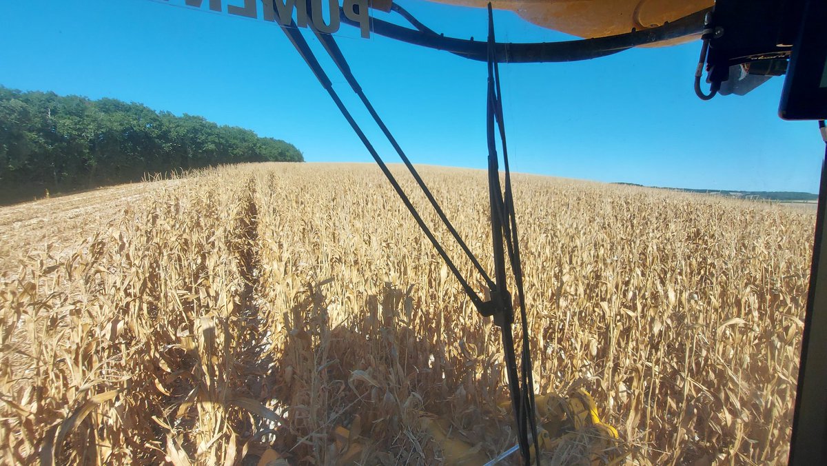 benoitpaysan's tweet photo. Malgré son exposition en sommet de colline (qui donne une superbe vue sur le secteur) cette parcelle de @DEKALB_FR DK4598 fera parti du podium en rendement, comme tout les ans. https://t.co/Pr5WUhyL0O