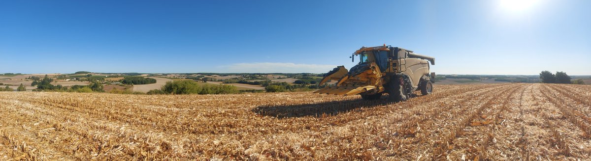 benoitpaysan's tweet photo. Malgré son exposition en sommet de colline (qui donne une superbe vue sur le secteur) cette parcelle de @DEKALB_FR DK4598 fera parti du podium en rendement, comme tout les ans. https://t.co/Pr5WUhyL0O