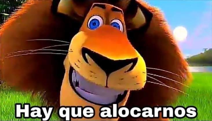 Nadie:
Neta nadie:
Las placas tectónicas el 19 de Septiembre:
#Temblor #Sismo #AlertaSismica