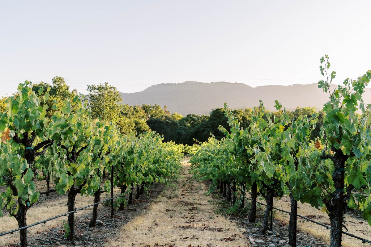Trestle Glen Vineyards Wine Club is up and running! Join NOW to get our award-winning small-block wines delivered to you this November.

Visit us at trestleglenvineyards.com to sign up and check out our new and improved website!
