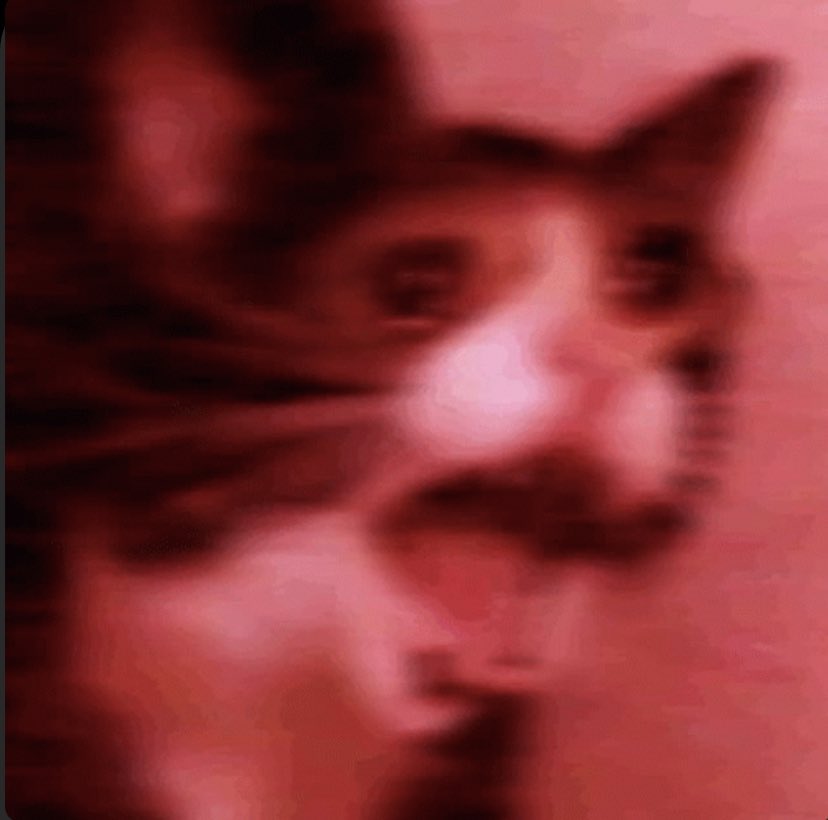 MoissArzate1's tweet image. Yo en el Simulacro / Yo en el temblor 🥲
#Sismo #Temblor #SimulacroNacional2022