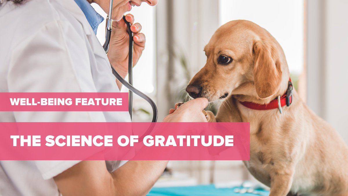 Tweet by Florida Veterinary Medical Association