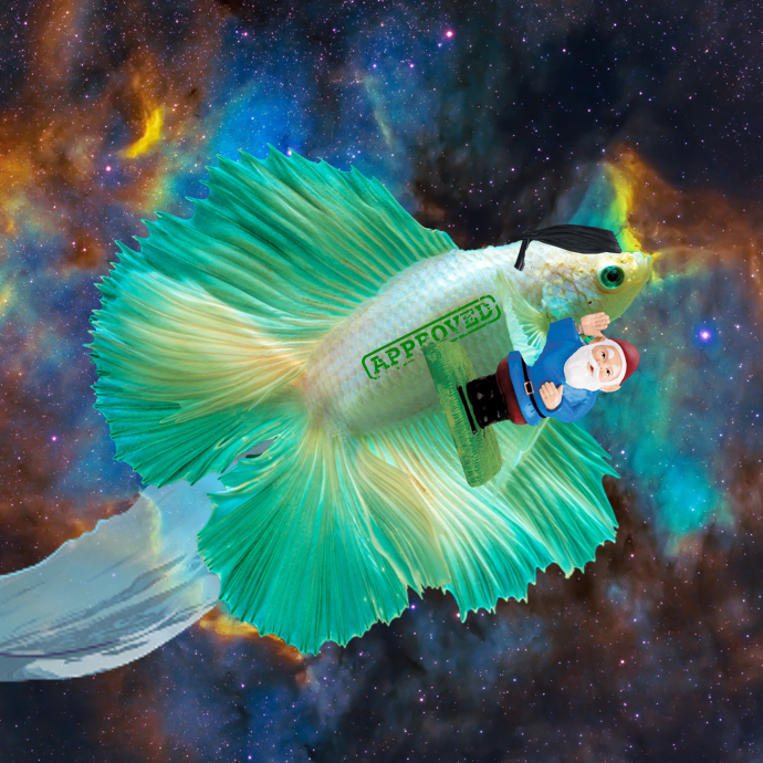 rarefish_market tweet picture