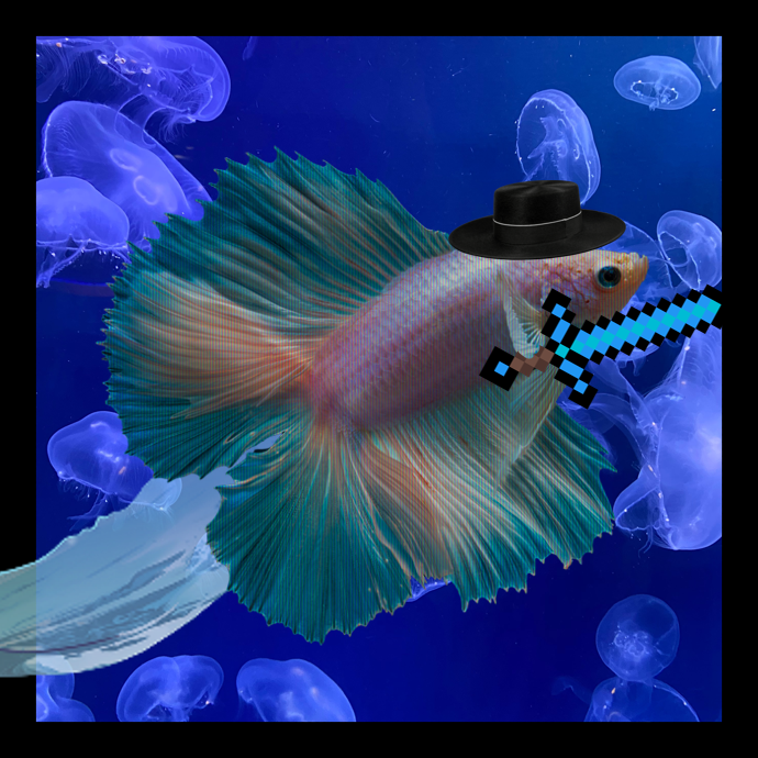rarefish_market tweet picture