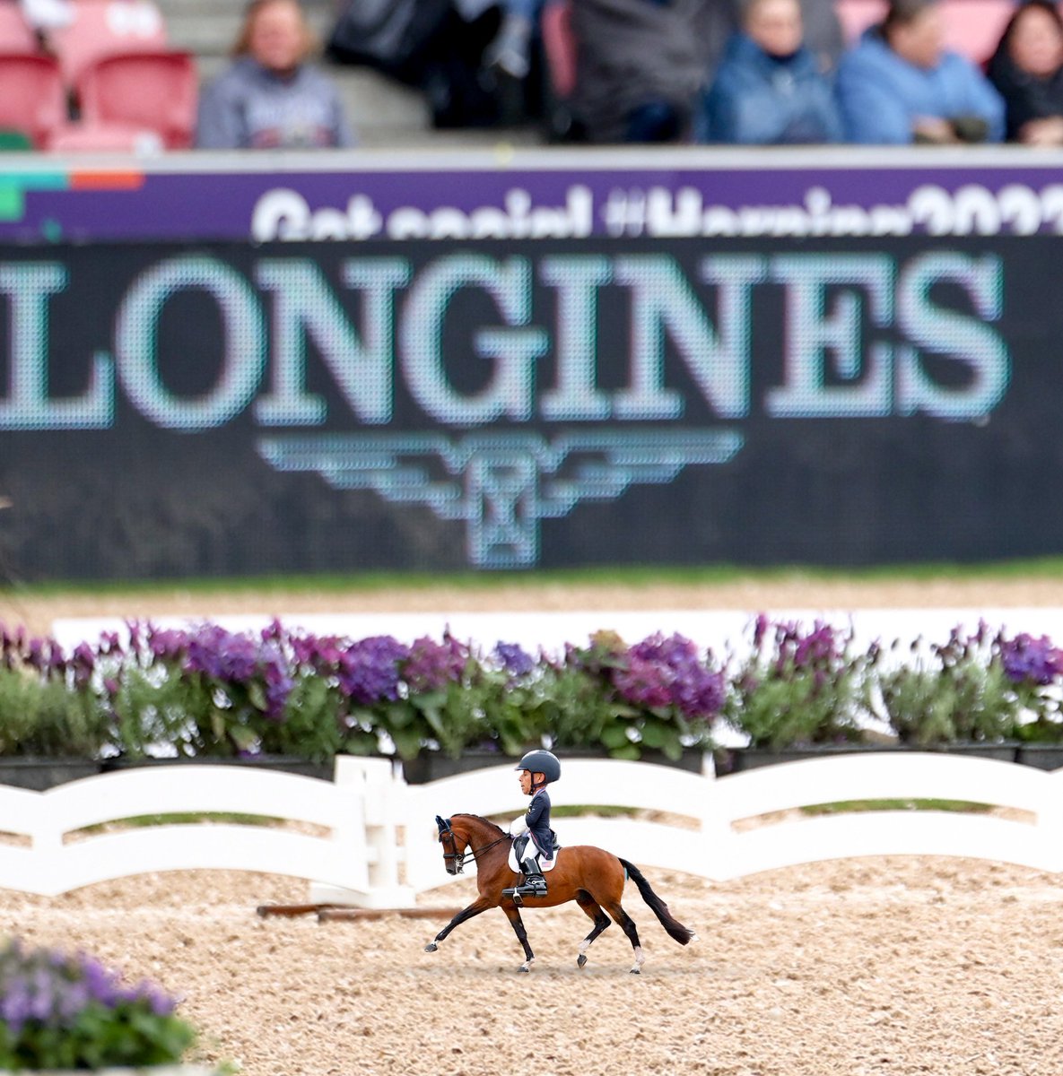 USequestrian's tweet photo. ˢᵐᵒˡ but mighty 💪🐴

(via @smallathletes) https://t.co/6TrGvI2EkO