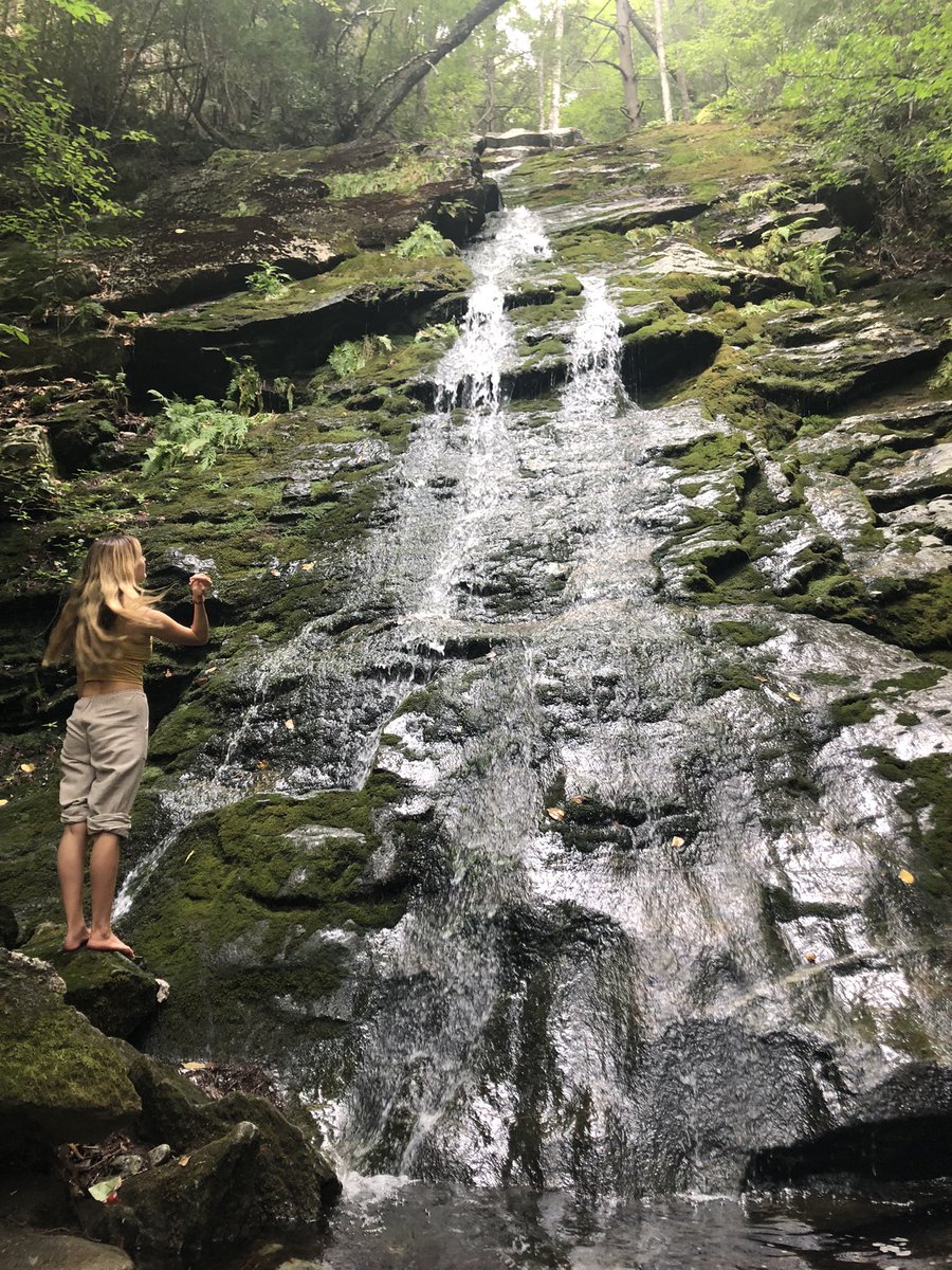 Sarah Bax tweet media