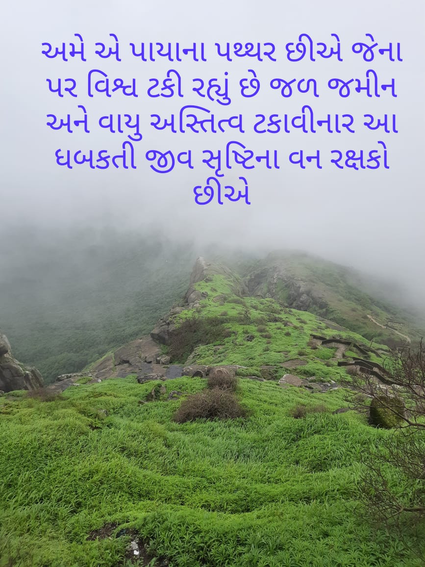 #2800_Grade_Pay_વનરક્ષક
#4200_Grade_Pay_વનપાલ
#Gujrat_Forest_Grade_pay
🙏#વન_છે_તો_જન_જીવન_છે🙏
<a href="/PMOIndia/">PMO India</a>
<a href="/draupadimurmum/">Droupadi Murmu </a>
<a href="/ADevvrat/">Acharya Devvrat</a>
<a href="/Bhupendrapbjp/">Bhupendra Patel</a>
<a href="/sanghaviharsh/">Harsh Sanghavi</a>
<a href="/Gopal_Italia/">Gopal Italia</a>
<a href="/AamAadmiParty/">AAP</a>
<a href="/ArvindKejriwal/">Arvind Kejriwal</a>
<a href="/amitshahsurat/">Amit Shah : Surat #AMITCSHAH</a>
<a href="/aajtak/">AajTak</a>
<a href="/ETVBharatGJ/">ETVBharat Gujarat</a>
<a href="/abpasmitatv/">ABP Asmita</a>
<a href="/tv9gujarati/">Tv9 Gujarati</a> 
<a href="/sandeshne/">sandesh ne</a>