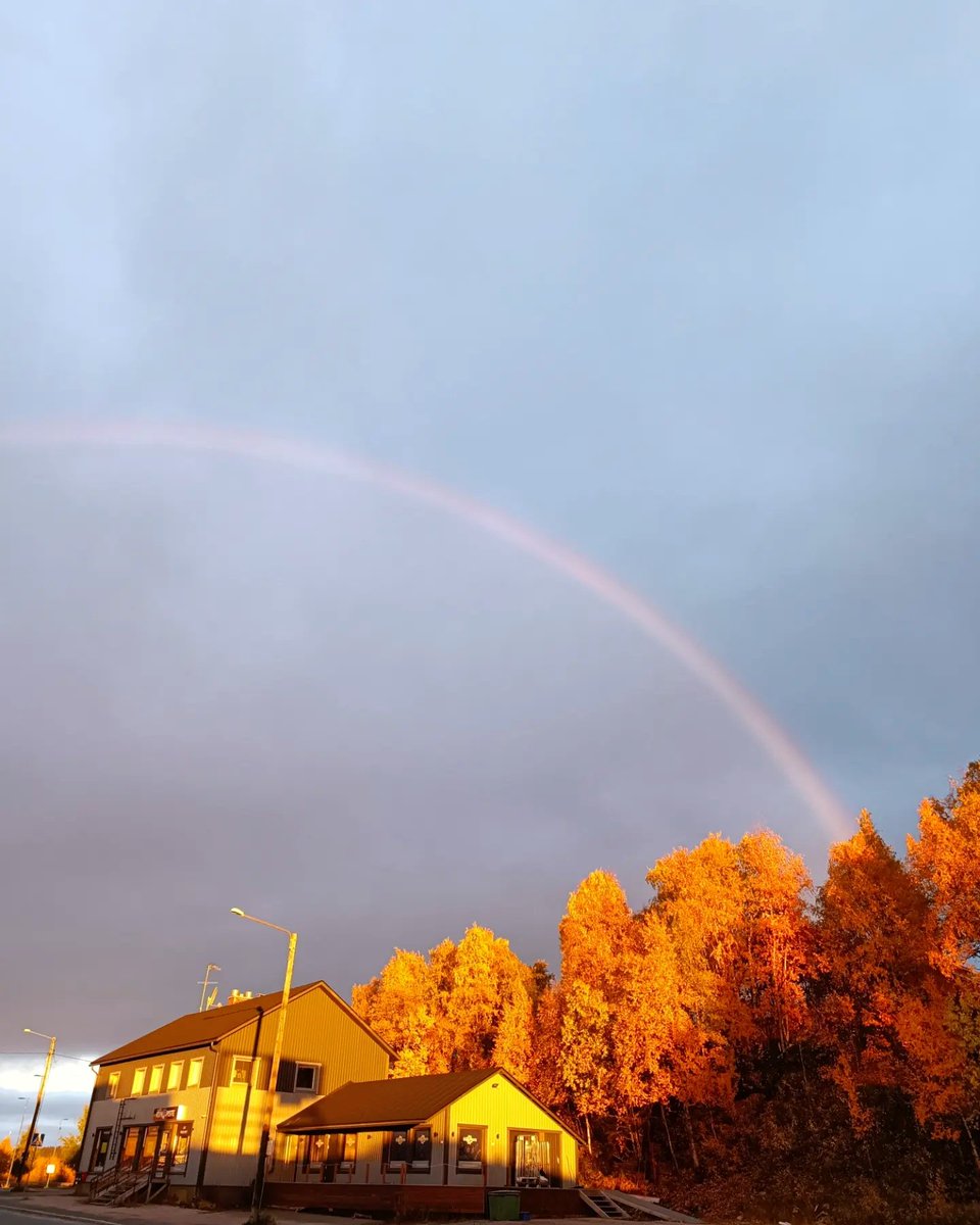 EnbuskaLaura's tweet photo. Onneksi lähdin tänään, pitkän työpäivän päätteeksi, ulos. Uskomattoman upea valo,varjo, hohde, ruska, sateenkaari, taivas. Ja sanoinko jo: ruska. Nämä hetket elämässä on parhaita; hämmästellä vain. Ei tarvi miettiä sen kummempia. 🫶 #muonionkunta #happybynature #munlappi #ruska https://t.co/2O39V47Nkq