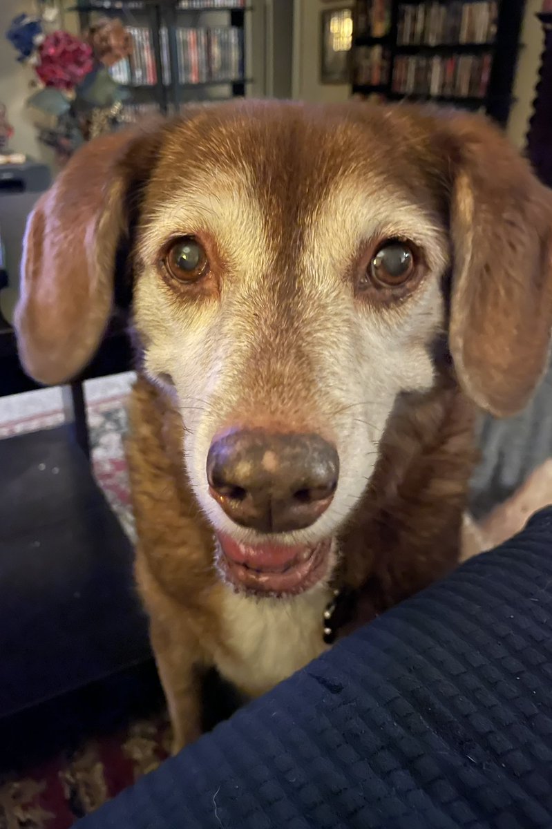 Eric Markiewicz tweet media