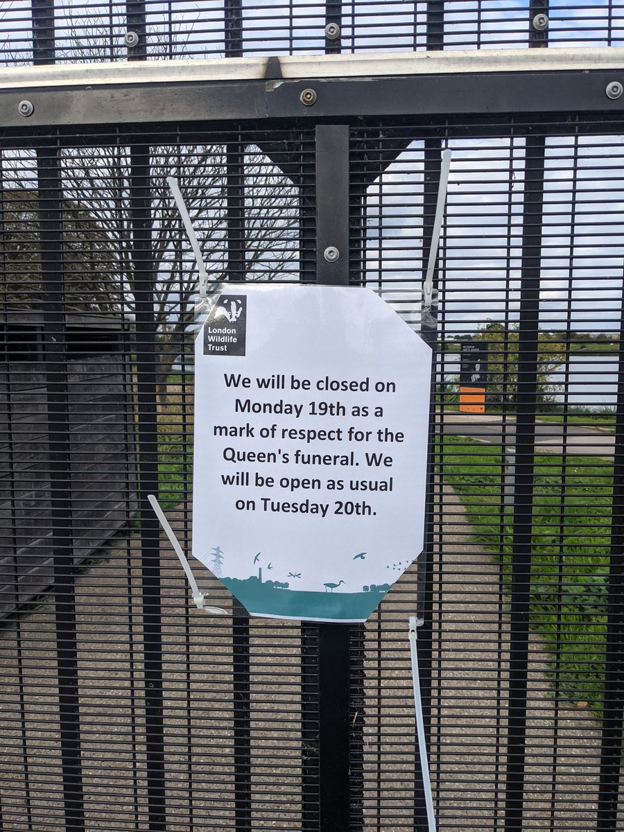 Foolish of me to try and visit a park today. This is surely what Liz would have wanted