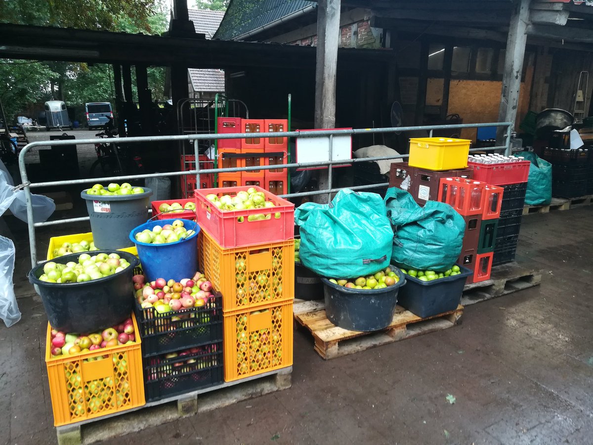 AdnilRegnir's tweet photo. Samstag haben wir #Landfrauen #Stotel & #Donnern / Initiative AG "Gemeinsam Wachsen" über 500 kg Äpfel+Birnen im #cuxland gesammelt und zu #Fabelsaft zur Vermostung gebracht. Aus sonst ungenutzten Obst wurden ca. 250 (!!!) Liter Saft! #zugutfuerdietonne #MOINErnährung https://t.co/uJy1tCxYgC